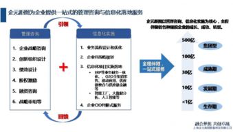 企元距圖 Oracle中國首家NetSuite認證合作伙伴的數據處理服務